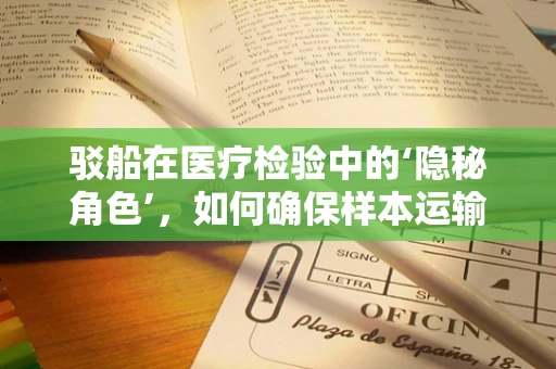 驳船在医疗检验中的‘隐秘角色’，如何确保样本运输的安全与准确？