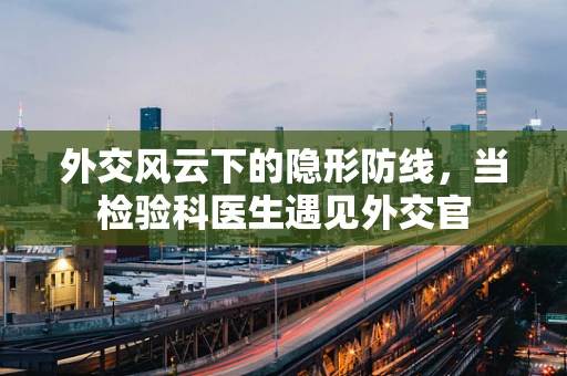 外交风云下的隐形防线，当检验科医生遇见外交官