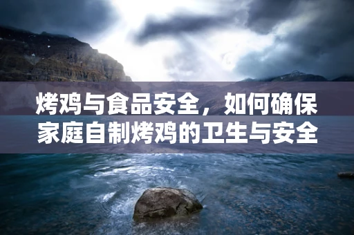 烤鸡与食品安全，如何确保家庭自制烤鸡的卫生与安全？