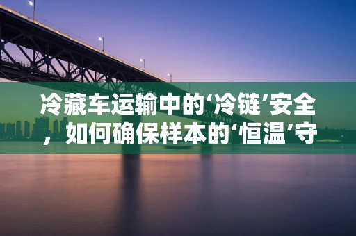 冷藏车运输中的‘冷链’安全，如何确保样本的‘恒温’守护？