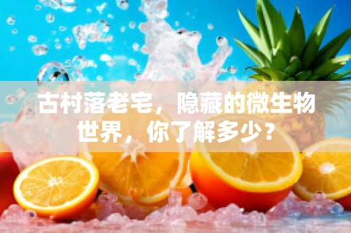 古村落老宅，隐藏的微生物世界，你了解多少？