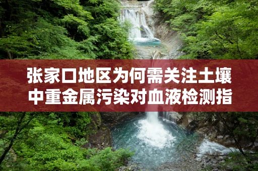 张家口地区为何需关注土壤中重金属污染对血液检测指标的影响？