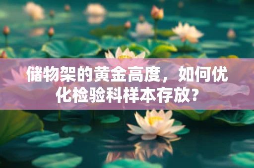 储物架的黄金高度，如何优化检验科样本存放？