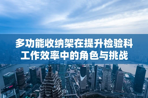 多功能收纳架在提升检验科工作效率中的角色与挑战