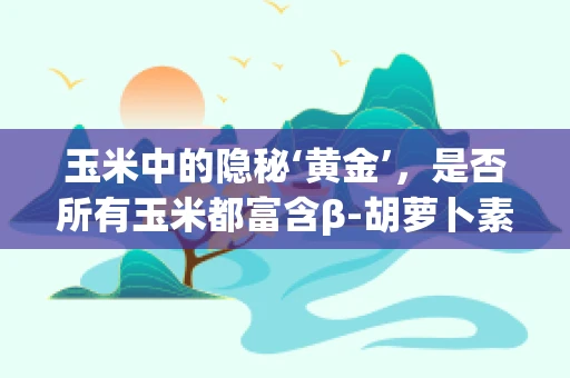 玉米中的隐秘‘黄金’，是否所有玉米都富含β-胡萝卜素？