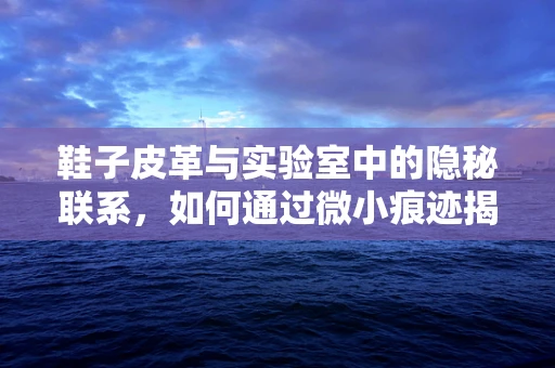 鞋子皮革与实验室中的隐秘联系，如何通过微小痕迹揭示健康密码？