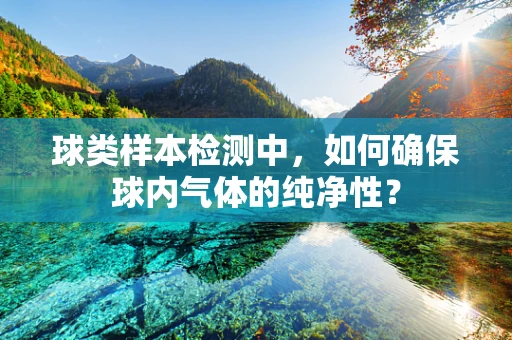 球类样本检测中，如何确保球内气体的纯净性？