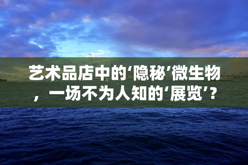 艺术品店中的‘隐秘’微生物，一场不为人知的‘展览’？