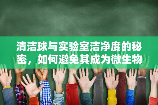 清洁球与实验室洁净度的秘密，如何避免其成为微生物滋生的温床？