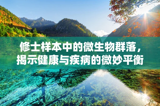 修士样本中的微生物群落，揭示健康与疾病的微妙平衡