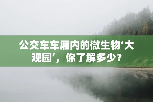 公交车车厢内的微生物‘大观园’，你了解多少？