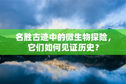 名胜古迹中的微生物探险，它们如何见证历史？