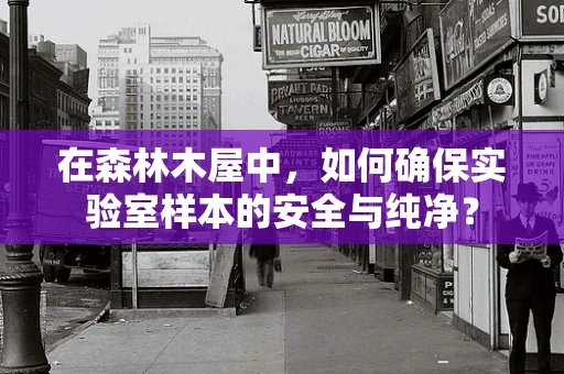 在森林木屋中，如何确保实验室样本的安全与纯净？