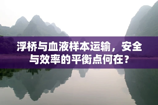 浮桥与血液样本运输，安全与效率的平衡点何在？