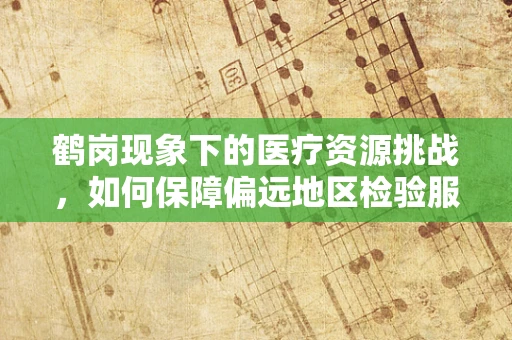 鹤岗现象下的医疗资源挑战，如何保障偏远地区检验服务的精准与高效？