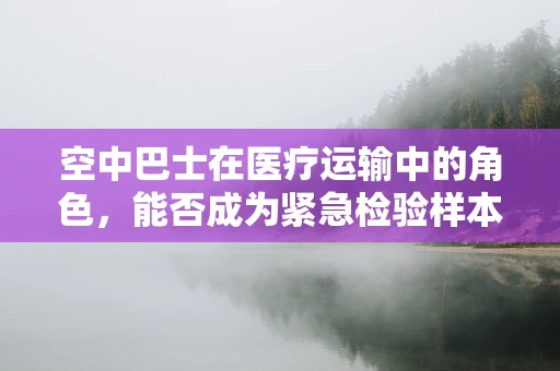 空中巴士在医疗运输中的角色，能否成为紧急检验样本的空中快线？